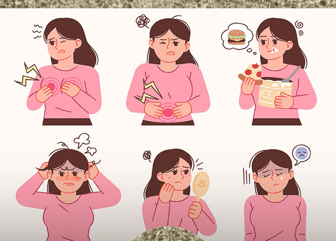 생리 전 짜증과 폭식, 성격 탓일까요? 관련 해부 구조 그림