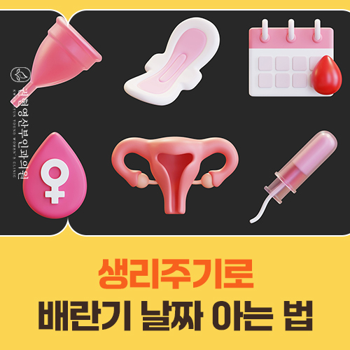 생리주기만으로 배란일을 알 수 있을까요?